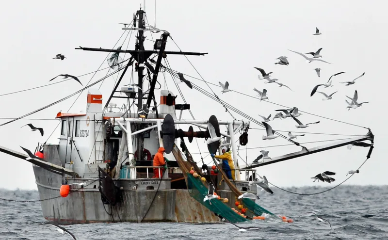 NOAA report finds Gulf of Maine warming slowed  for now, but ecosystem remains unstable